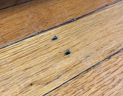 How To Fix Nail Pops In Hardwood Floors?