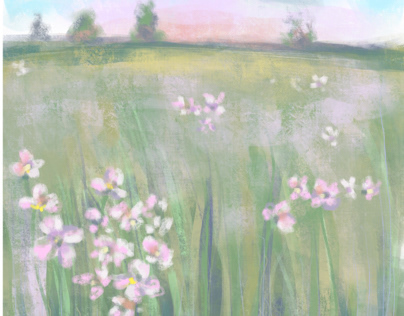 Wildflowers in a Field