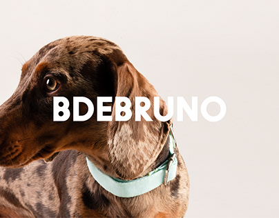 Branding BDEBRUNO