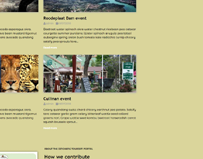 Dinokeng Tourism Website Prototypes