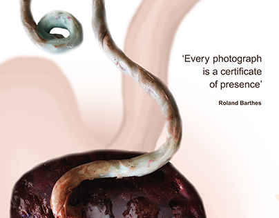 Posters about Roland Barthes' quotes