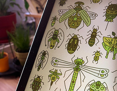 Insects collection illustration