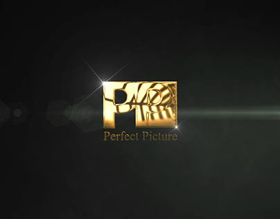 Perfect Picture logo