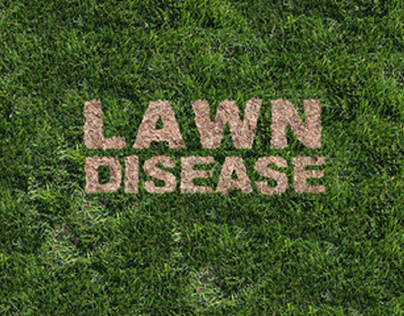TPI Weed, Insect, and Disease Control for Turfgrass