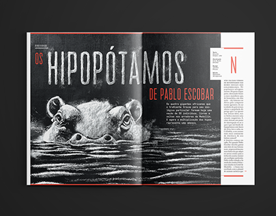 Hipopótamos - Editorial Design