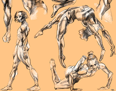 Figure drawing and Anatomy