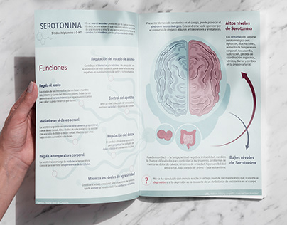Infografía de la Serotonina