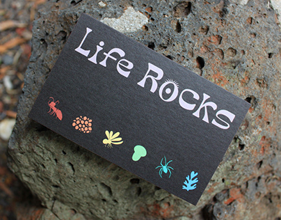 Project thumbnail - Life Rocks
