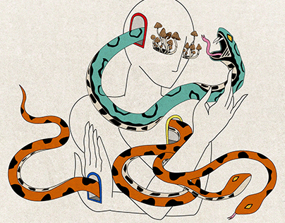 Snake Door Illustration