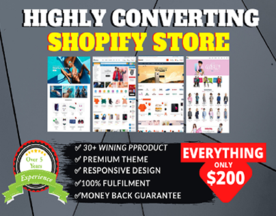 create a professional complete shopify store