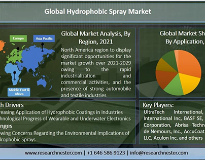 Hydrophobic Spray Market During 2021-2029