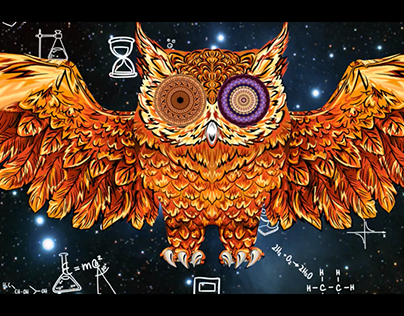 Light Festival drawing Owl