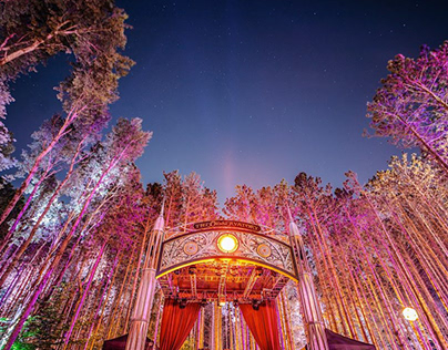 Electric forest 2018