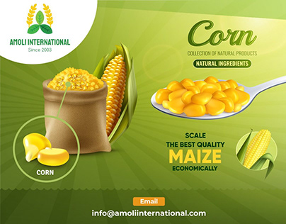 Yellow Maize: From Animal Feed to Human Consumption