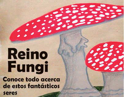 El Reino Fungi
