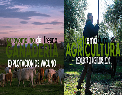 Reportaje Agricultura y Ganadería Extremadura