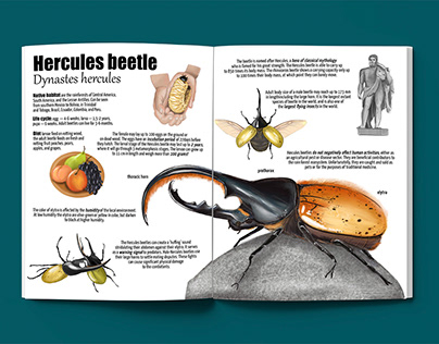 Hercules beetle (non-fiction spread)