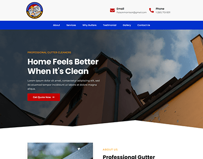 Professional Gutter Cleaner Landing Page