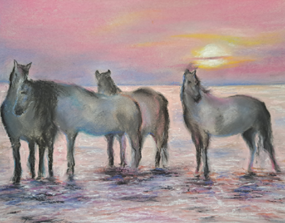 horses
pastel on  strathmore  paper, a4