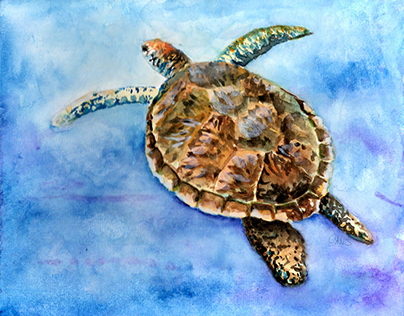 Turtle - Watercolor