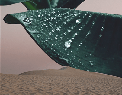 Desert leaves - Video Collage