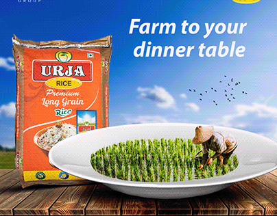 Urja Rice_ Digital Advertising