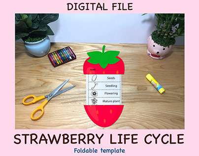 Strawberry Life Cycle, Children's Learning Materials