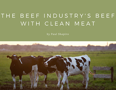 The Beef Industry's Beef with Clean Meat