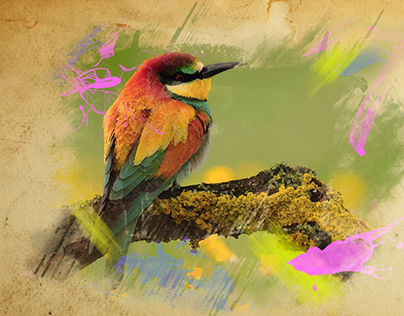 Painted Bird
