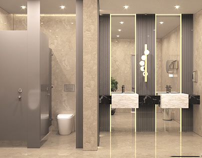 Luxurious commercial toilets