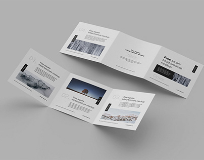 Trifold Brochure Mockup Design