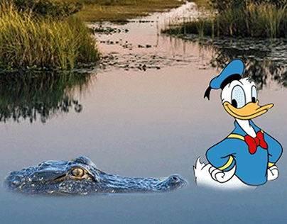 Donald Duck Goes for a Swim
