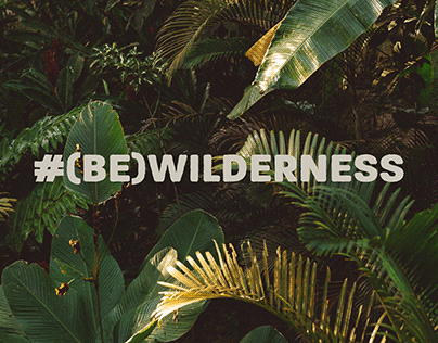 (Be)Wilderness | Social Media Campaign