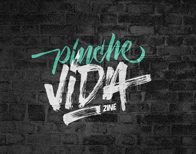 PINCHE VIDA / ZINE