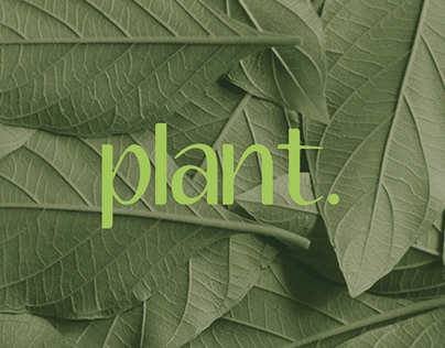Plant.