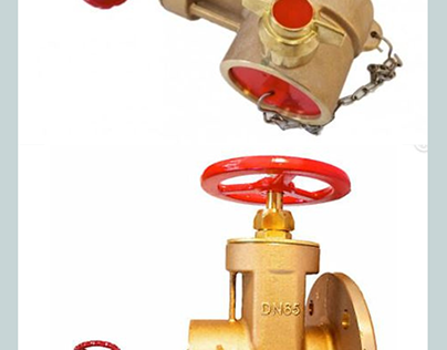 Durable and Reliable Dry Riser Landing Valves
