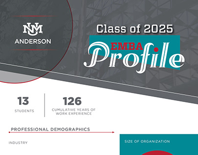 Infographics - Executive MBA Profile