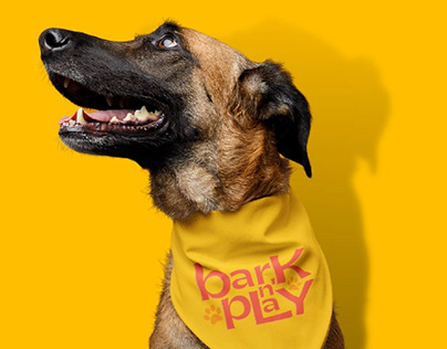 Bark N' Play- Dog Boarding Service Branding