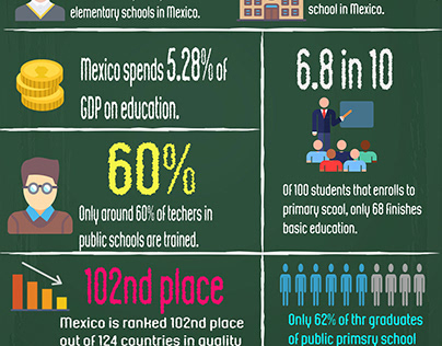 Mexican Primary school Infographics By Takumi Beppu