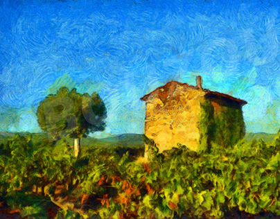 House in the Vineyards