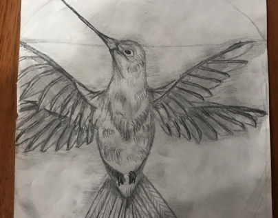 Da Vinci/ Richard Feynman bird sketch