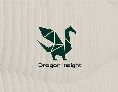 Dragon Insight brand identity