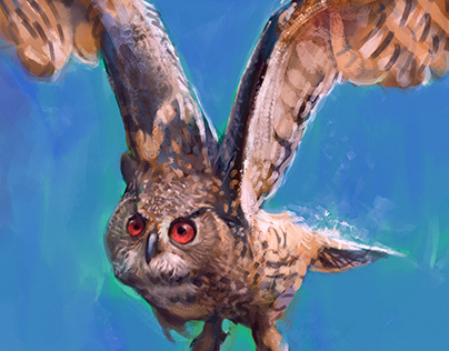 Another owl sketch