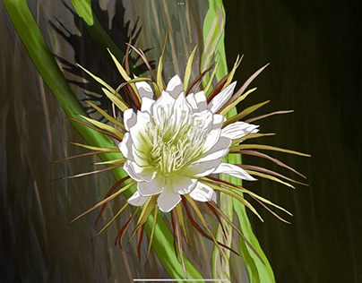 HUA Tan Flower Illustration - Digital Art