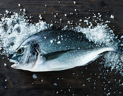 Fish: Stock Photography