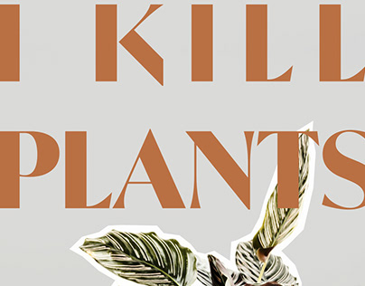 I KILL PLANTS - indoor plants for millennials