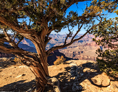 South Rim of the Grand Canyon December 2017