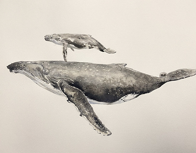 Whales watercolor