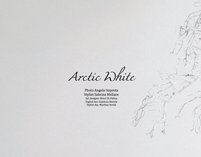 Artic White BOOK moda