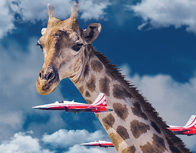 Giraffe photo Manipulation